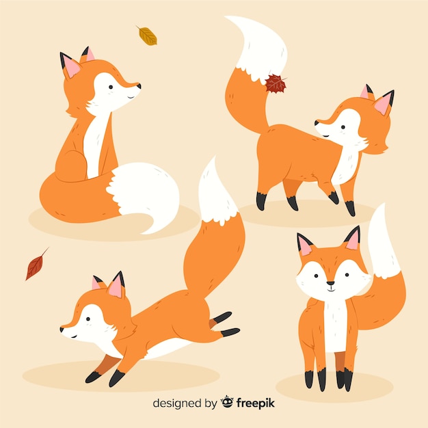 Pack of hand drawn foxes