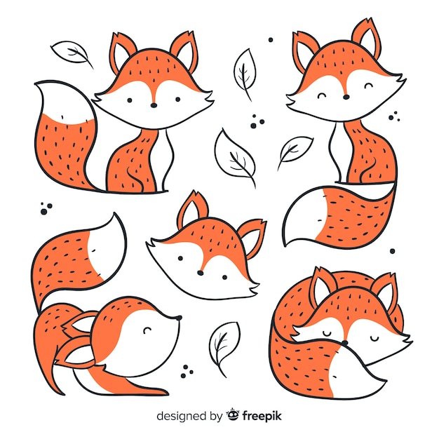 Pack of hand drawn foxes