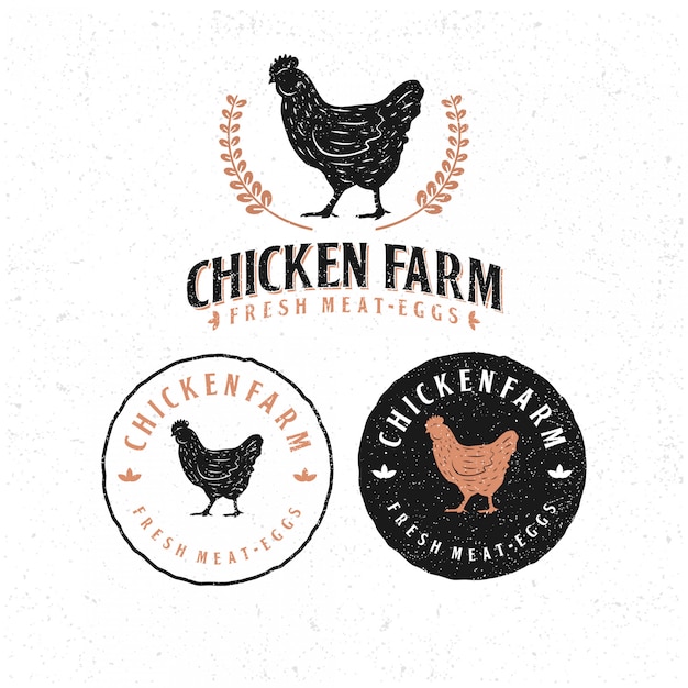 pack of  template chicken logo.