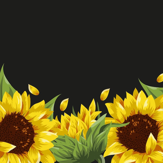 packaging or textile on black background consisting of buds and loose flowers of yellow sunflowers