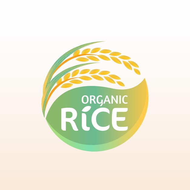 paddy rice premium organic natural product banner logo vector design