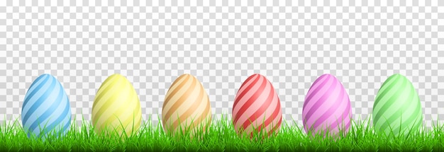 Vector painted eggs on the grass on an isolated transparent background. easter eggs png, grass png. easter.