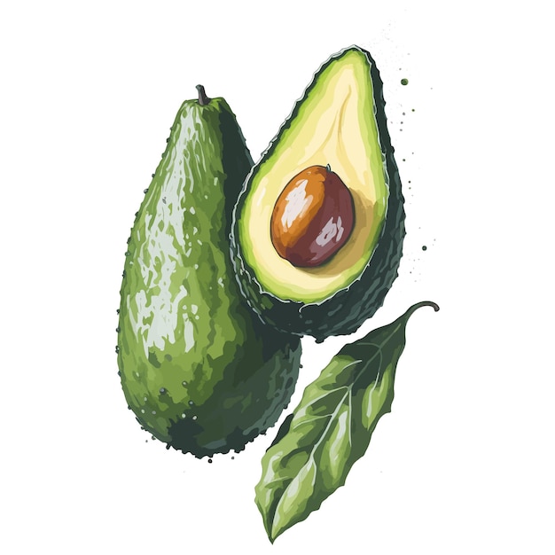 A painting of an avocado and a leaf that says avocado.