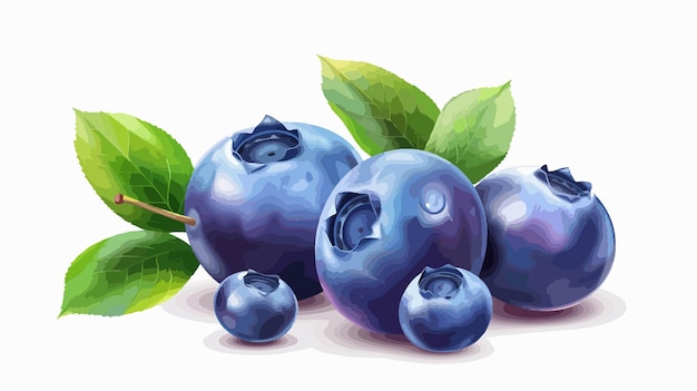 Vector a painting of blueberries with green leaves