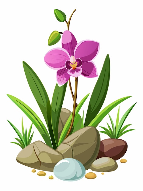 Vector a painting of a flower and rocks with a picture of a flower