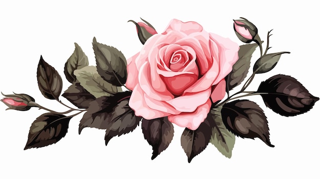 Vector a painting of a pink rose with green leaves and brown leaves