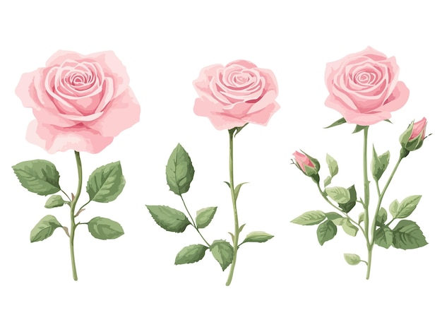 a painting of pink roses with green leaves and pink roses