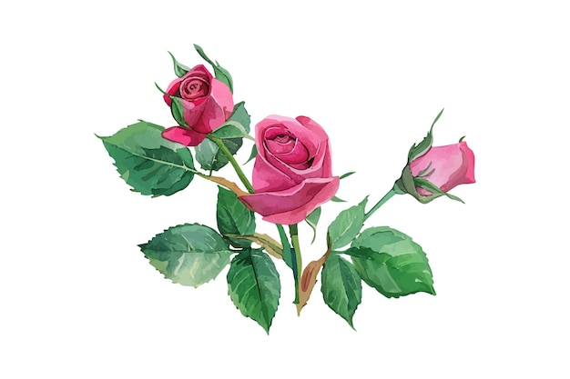 a painting of pink roses with green leaves