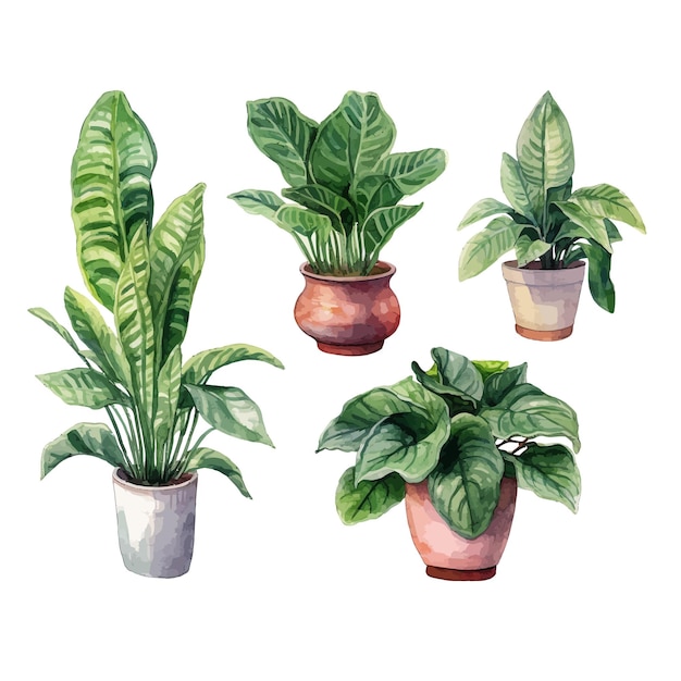 A painting of plants in pots that are labeled as'the leaves '