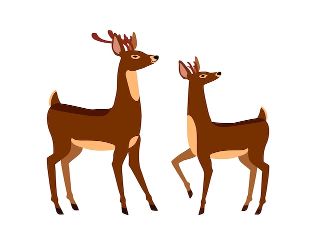 A pair of Santa's reindeer. A symbol of Christmas and New Year. For holiday cards.