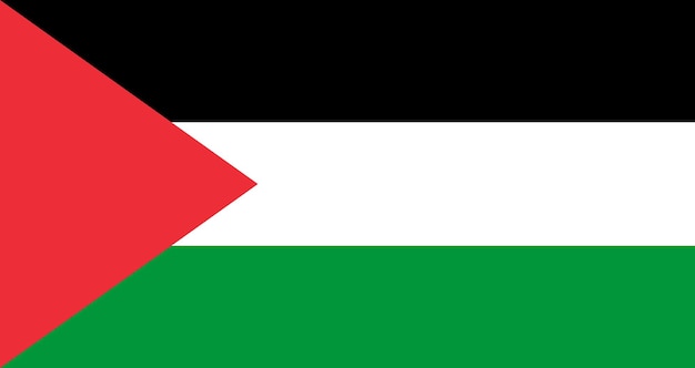 Palestine flag vector illustration