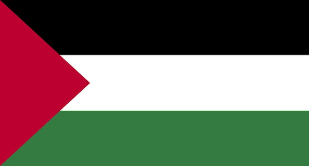 Palestine flag