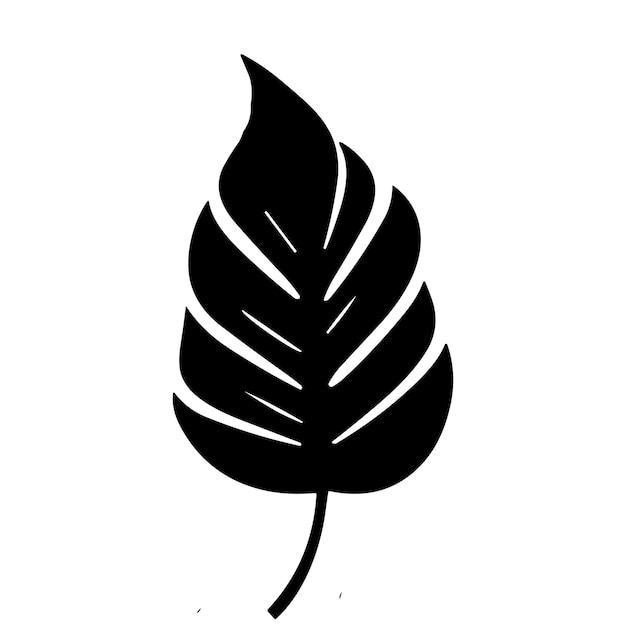 Palm banana leaf silhouette vector