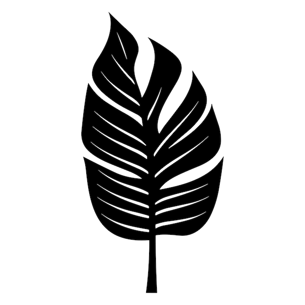 Palm banana leaf silhouette vector