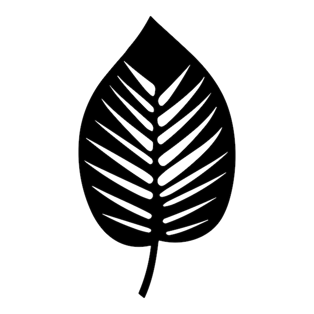 palm banana leaf silhouette vector