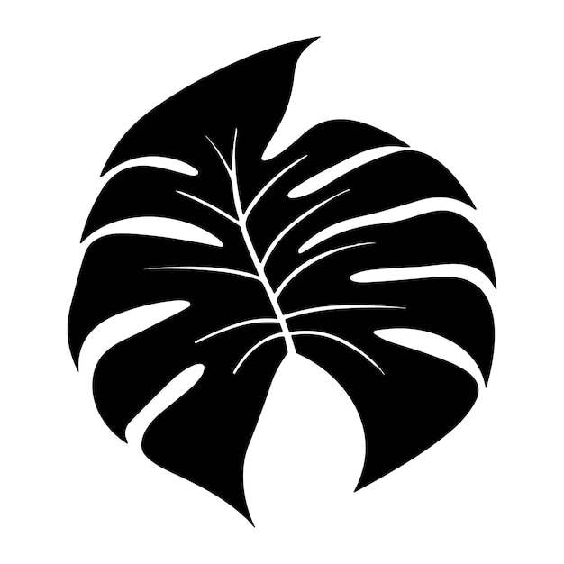 palm banana leaf silhouette vector