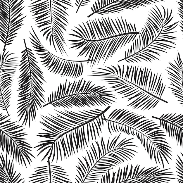 Palm leaf seamless pattern black and white tropic