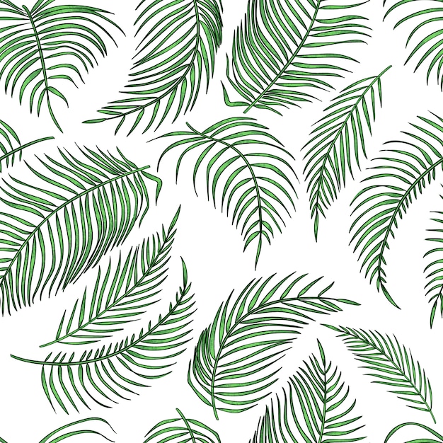 palm leaves seamless pattern, jungle leaf on white 