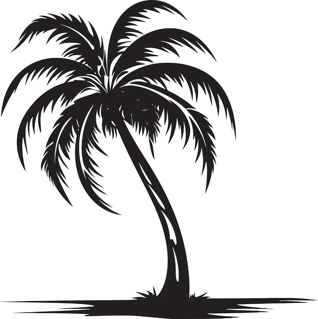 Palm Oasis Black Logo Design of Tropical Seashore Beachside Beauty Vector Black Emblem of Palm Tree