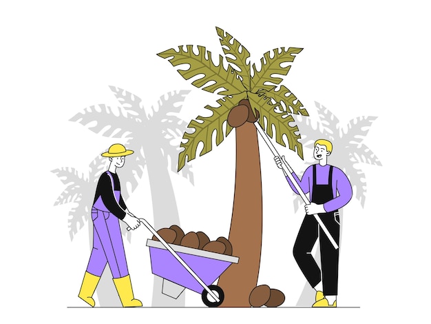 Vector palm oil producing simple two men near palm tree with coconuts natural and organic products for