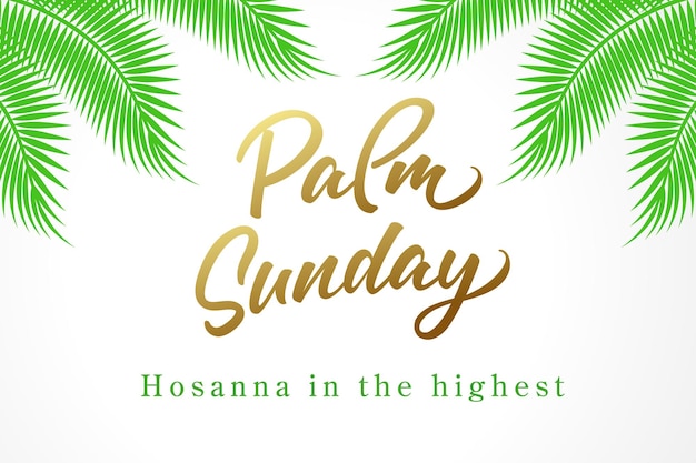 Palm Sunday, Hosanna in the highest. Christian greeting card with calligraphy and palm leaves.