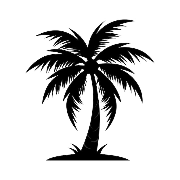 A palm tree black silhouette vector on a white background