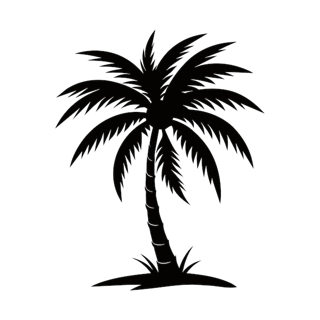 A palm tree black silhouette vector on a white background