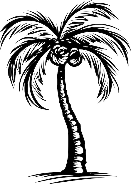 Palm tree black and white vector