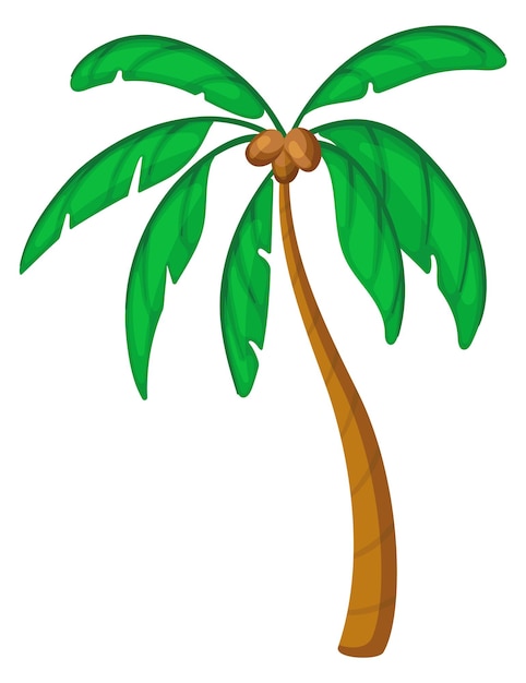 Palm tree cartoon icon Tropical coconut plant isolated on white background