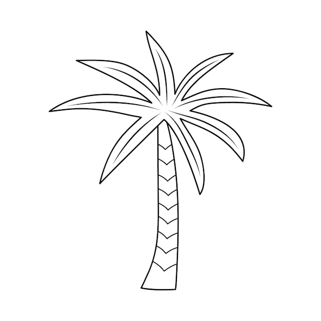 Palm tree in doodle style