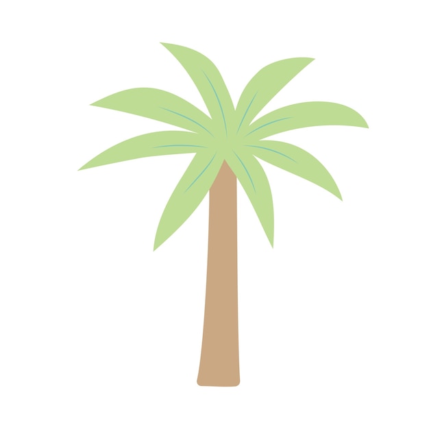 Palm tree isolated on white background