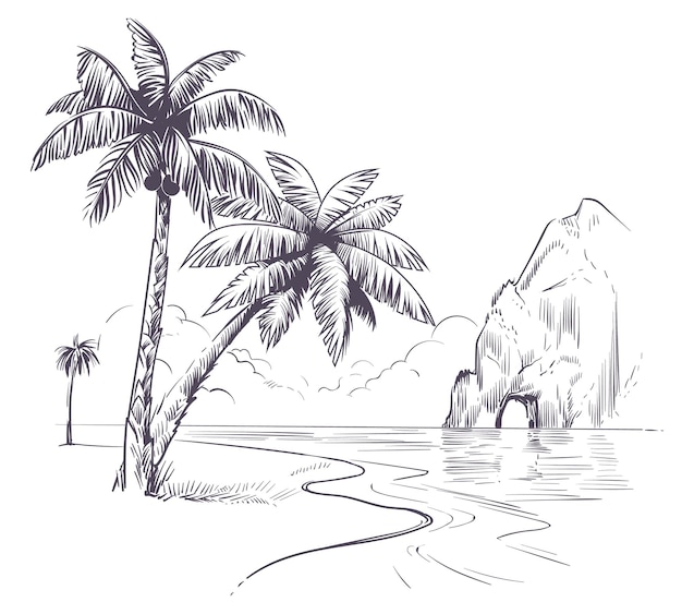 Palm tree landscape. Sketch tropical palms ocean coast, exotic island hawaii