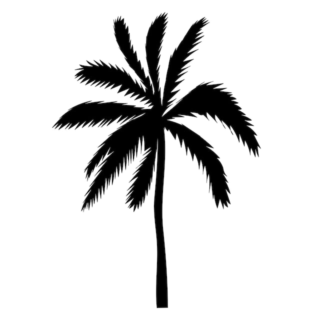 Palm tree silhouette on white background vector