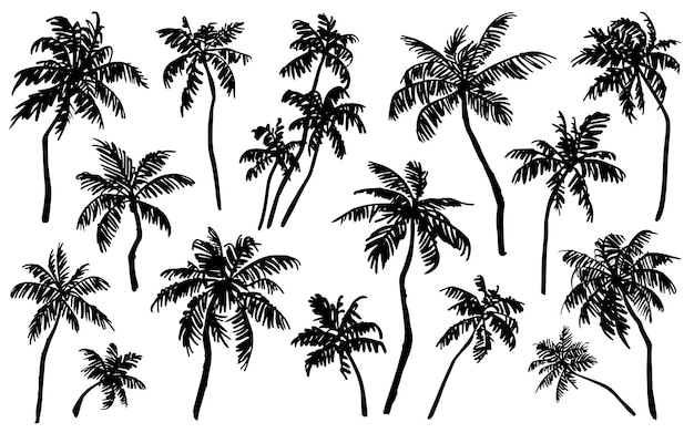 Palm tree silhouettes collection