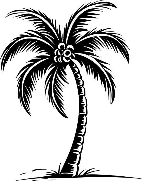 Palm Tree Silhouettes