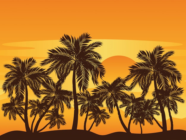 Palm Tree at Sunset