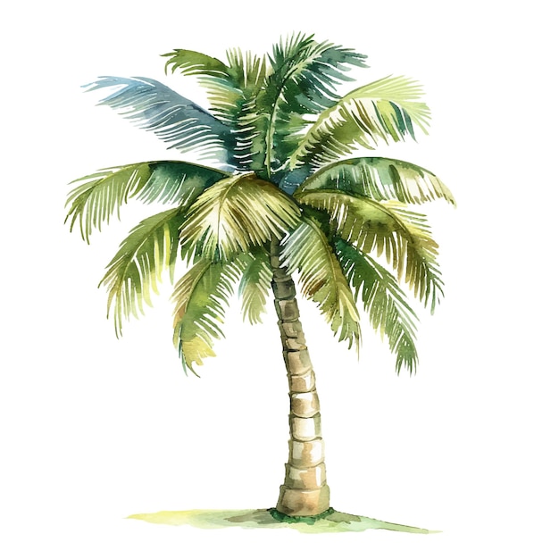 palm tree vector illustration in watercolour style