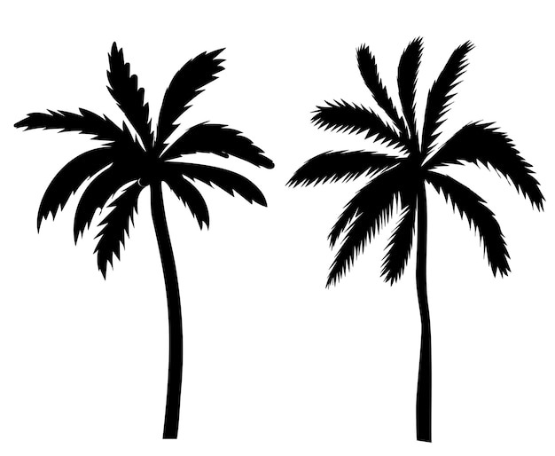 Palm trees black silhouette isolated vector