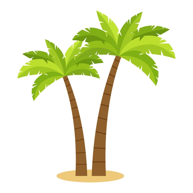 Palm trees flat vector illustration