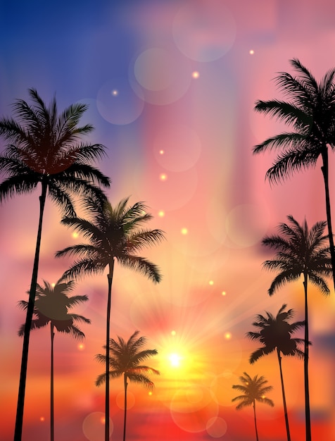 Palm trees at sunset