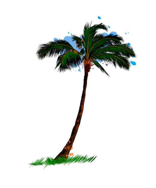 Palm tropical tree from a splash of watercolor colored drawing realistic