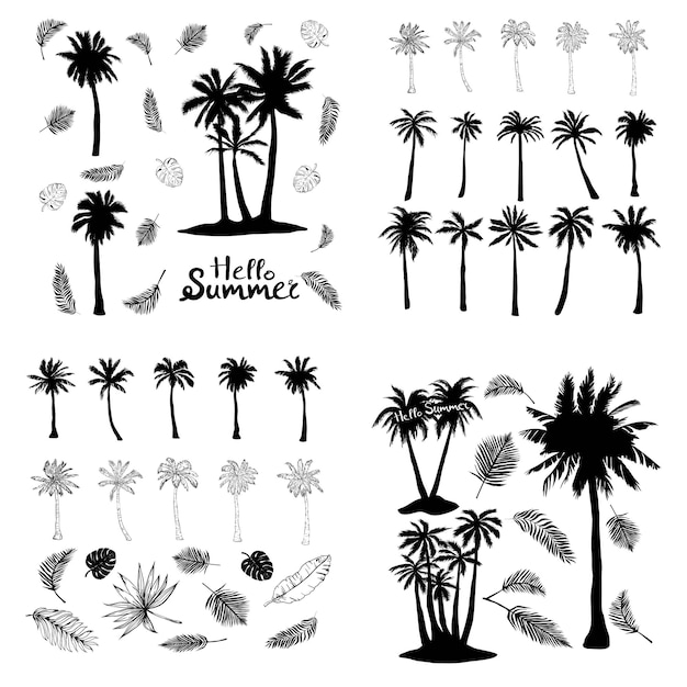 Palm tropical tree set icons black silhouette vector illustration isolated on white background