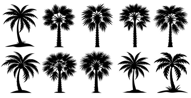 Vector palmetto trees silhouette collection on white background