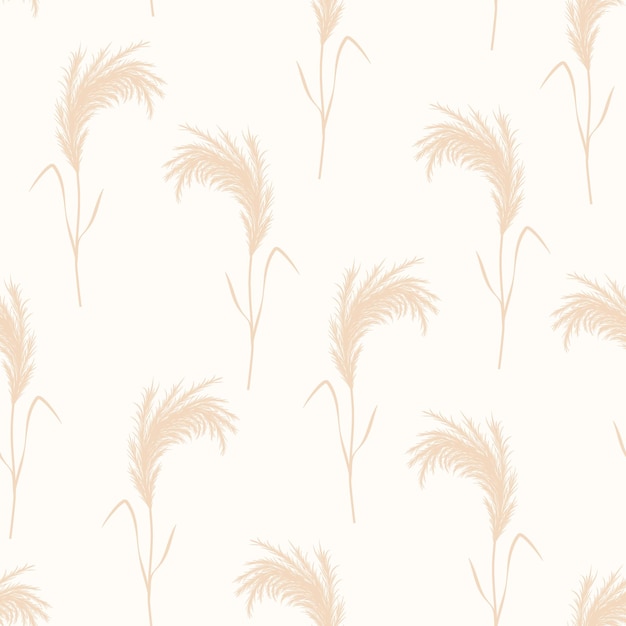 Pampas grass seamless pattern Vector cortaderia in boho style Autumn background