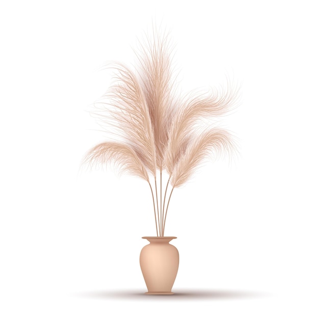 Pampas grass in vase