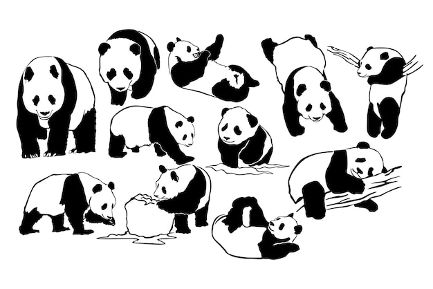 panda silhouette vector collection