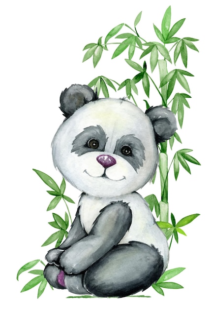 Panda sitting on a background of bamboo Watercolor clipart in cartoon style but isolated background