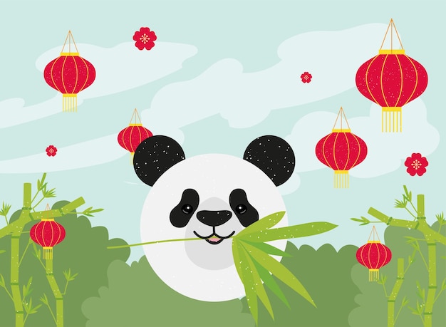 Panda with chinese lanterns