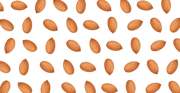 Panoramic pattern of roasted almonds on a white background Vector