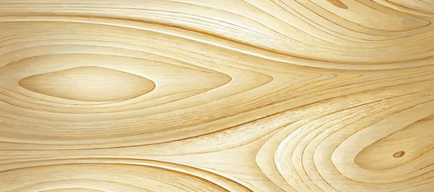 Panoramic texture of light wood with knots Vector